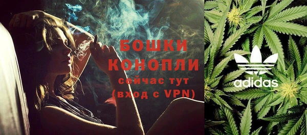 прущие крисы Вяземский